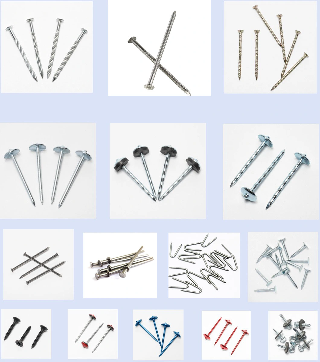 Corrugated Hardware Fastener Wholesale Nail Supplier Roofing Nails